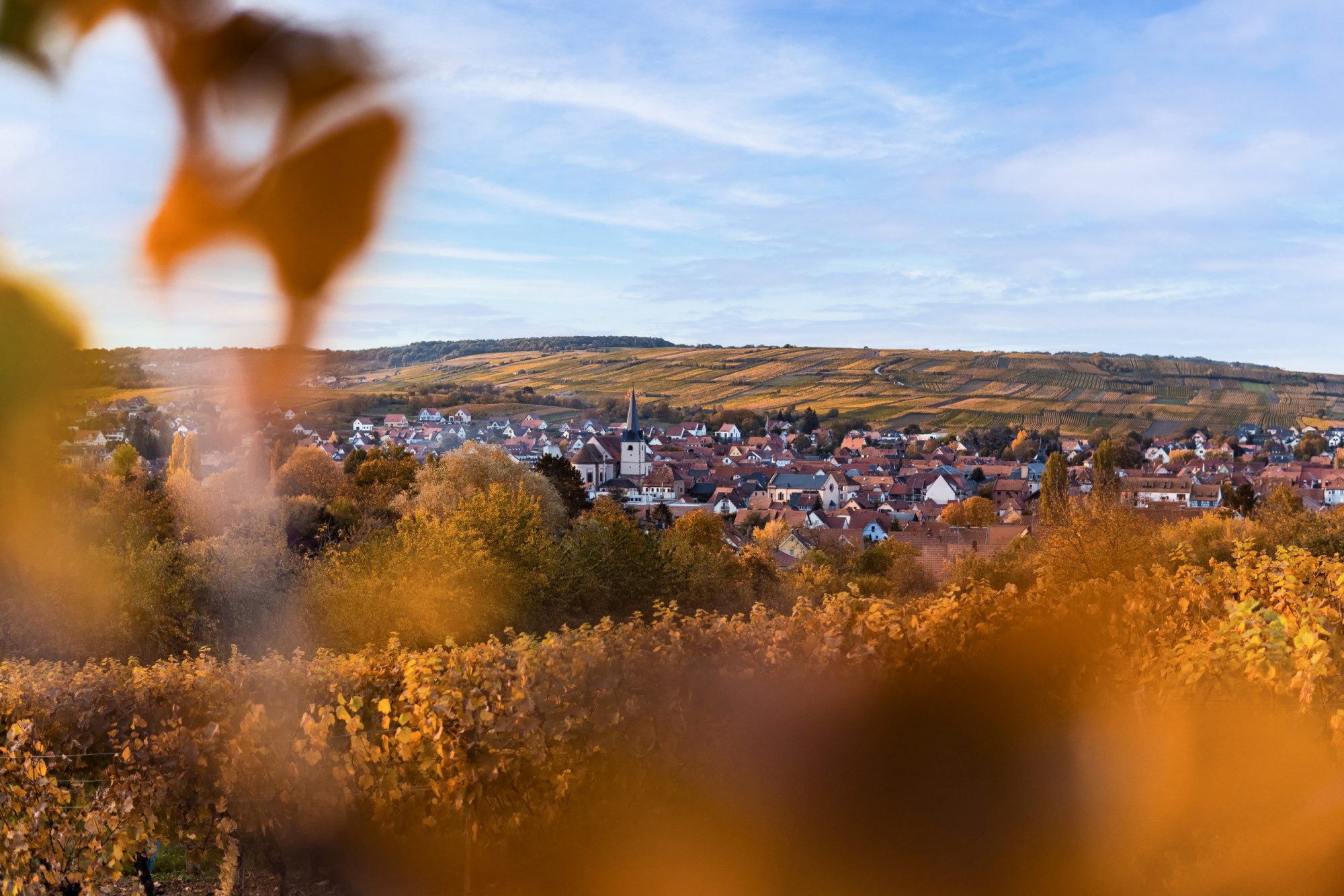 Alsace
